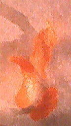 Sweet Orange 