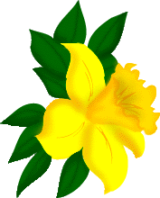 Fragrant Essence Essential Oils